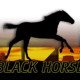 Black Horse game icon