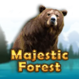 Majestic Forest