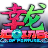 Coins of Fortune
