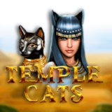 Temple Cats