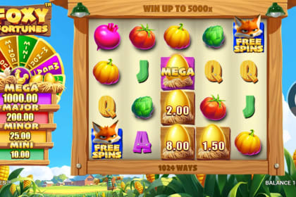 Foxy Fortunes gameplay image