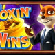Foxin' Wins game icon