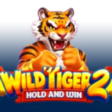Wild Tiger 2