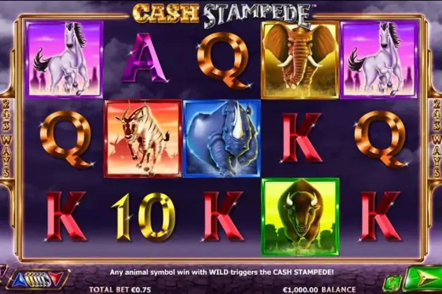 Cash Stampede