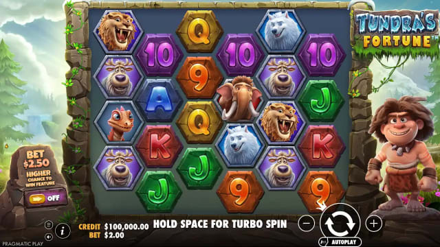 Tundra's Fortune