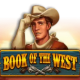 Book of the West game icon