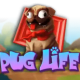Pug Life game icon