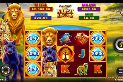 Amazing Link WildCat Kingdom gameplay image