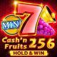 Cash'n Fruits 256 Hold And Win game icon