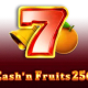 Cash'n Fruits 256 game icon