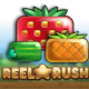 Reel Rush game icon