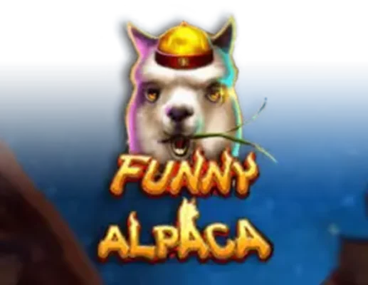 Funny Alpaca
