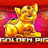 Golden Pig