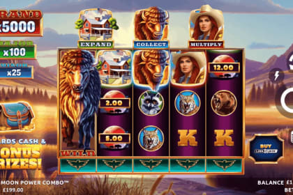 Bison Moon Power Combo gameplay image