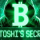Satoshi's Secret game icon