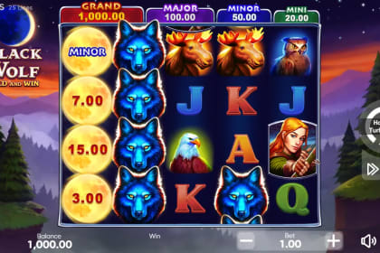 Black Wolf Hold and Win gameplay image