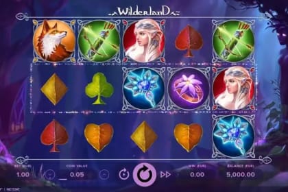 Wilderland gameplay image