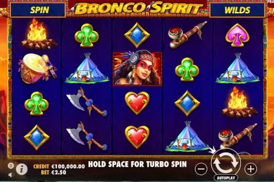 Bronco Spirit