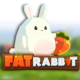 Fat Rabbit game icon