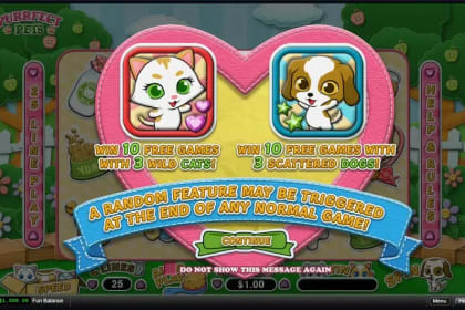 Purrfect Pets gameplay image