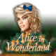 Alice In Wonderland game icon