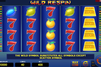 Wild Respin gameplay image