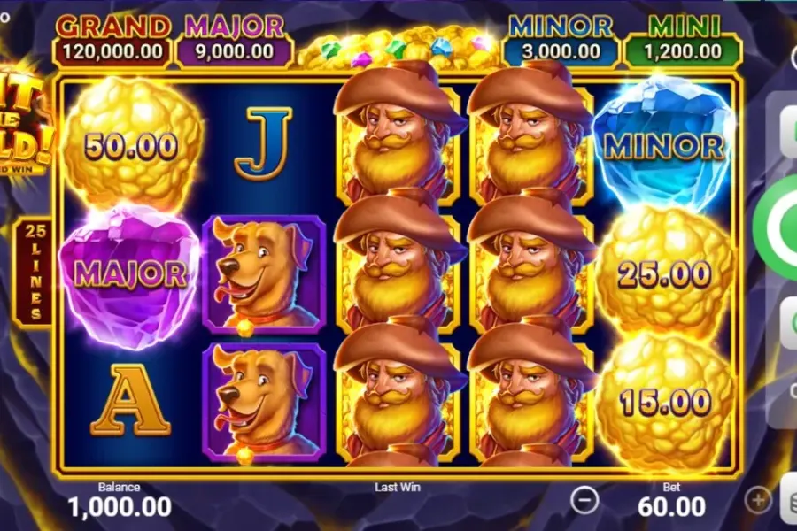 Hit the Gold! Hold and Win