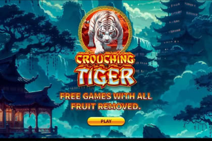 Crouching Tiger gameplay image