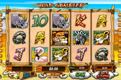Wild Gambler gameplay image