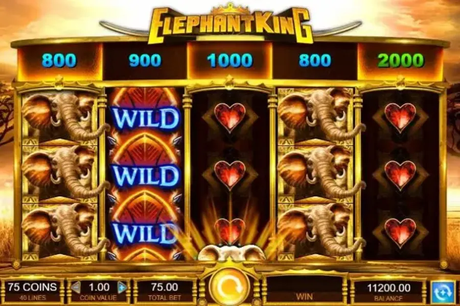 Elephant King