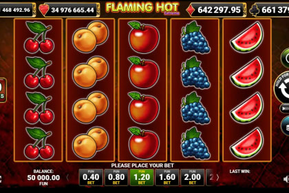 Flaming Hot Extreme gameplay image