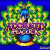 Adorned Peacock