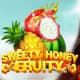 Sweety Honey Fruity game icon