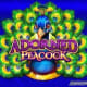 Adorned Peacock game icon