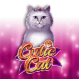 Cutie Cat