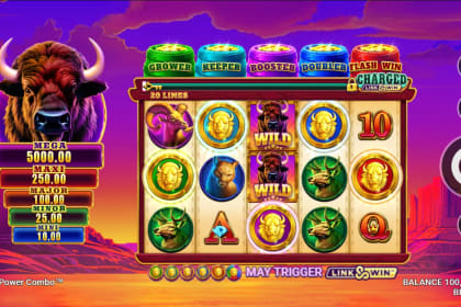Bison Ridge Power Combo gameplay image