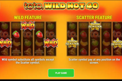 Toto Wild Hot 40 gameplay image