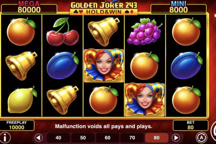 Golden Joker 243 Hold and Win gameplay image