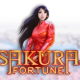 Sakura Fortune game icon