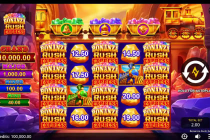 Bonanza Rush Express gameplay image