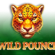 Wild Pounce game icon