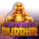 Fortunate Buddha game icon