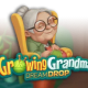 Growing Grandma Dream Drop game icon
