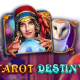 Tarot Destiny game icon