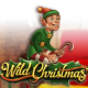 Wild Christmas game icon
