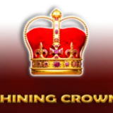 Shining Crown Clover Chance