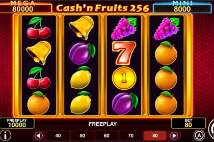 Cash'n Fruits 256 Hold And Win gameplay image