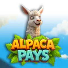 Alpaca Pays game icon