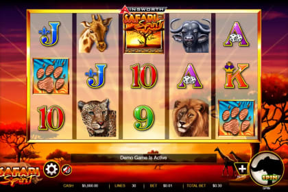 Safari Spirit gameplay image