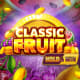 Classic Fruit Hold & Win game icon